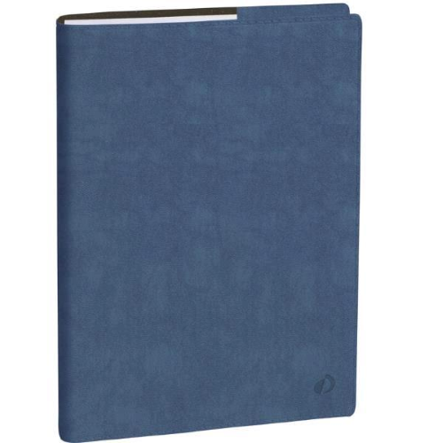 Quo Vadis AGENDA DEL PROFESSORE ROMA BLU GHIACCIO